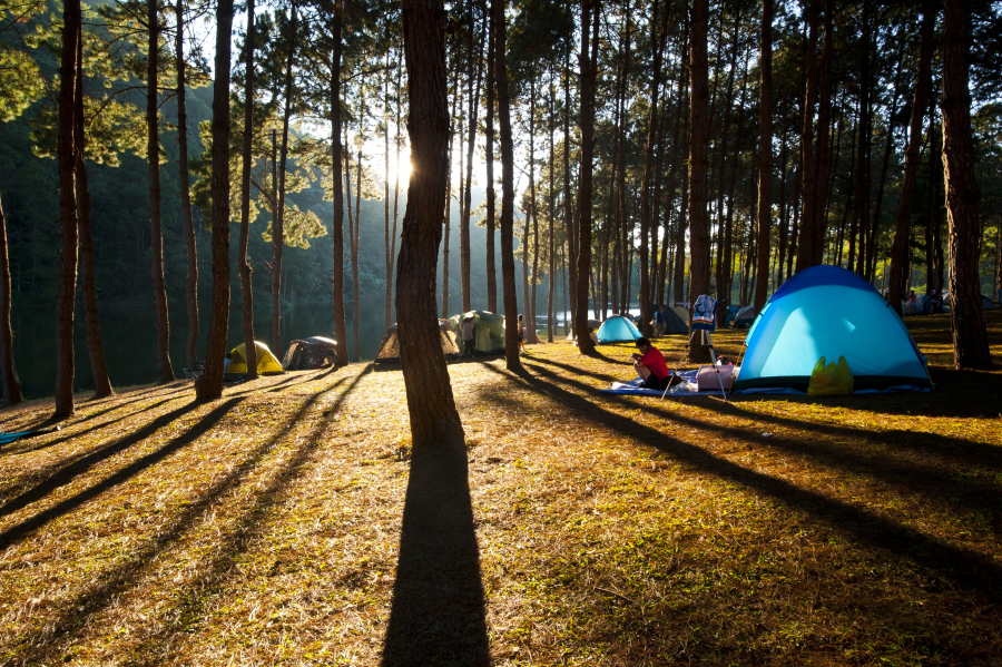 camping landes hossegor